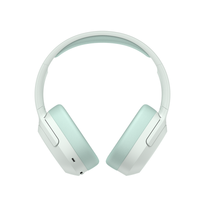 W820NB Plus Hi-Res Audio Headphones ANC Bluetooth Stereo Headphones