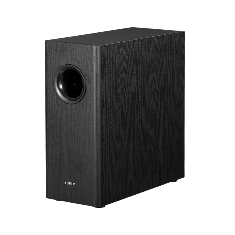 T5s  Powered Subwoofer