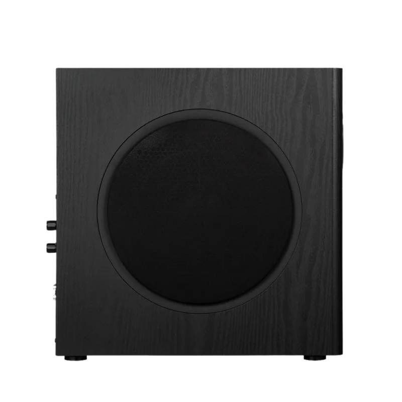 T5s  Powered Subwoofer