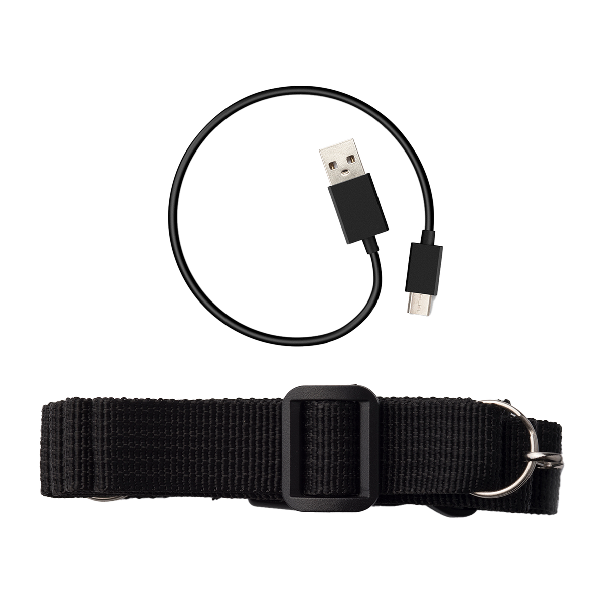 MF5P Portable Voice Amplifier