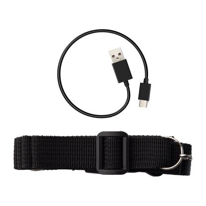 MF5P Portable Voice Amplifier