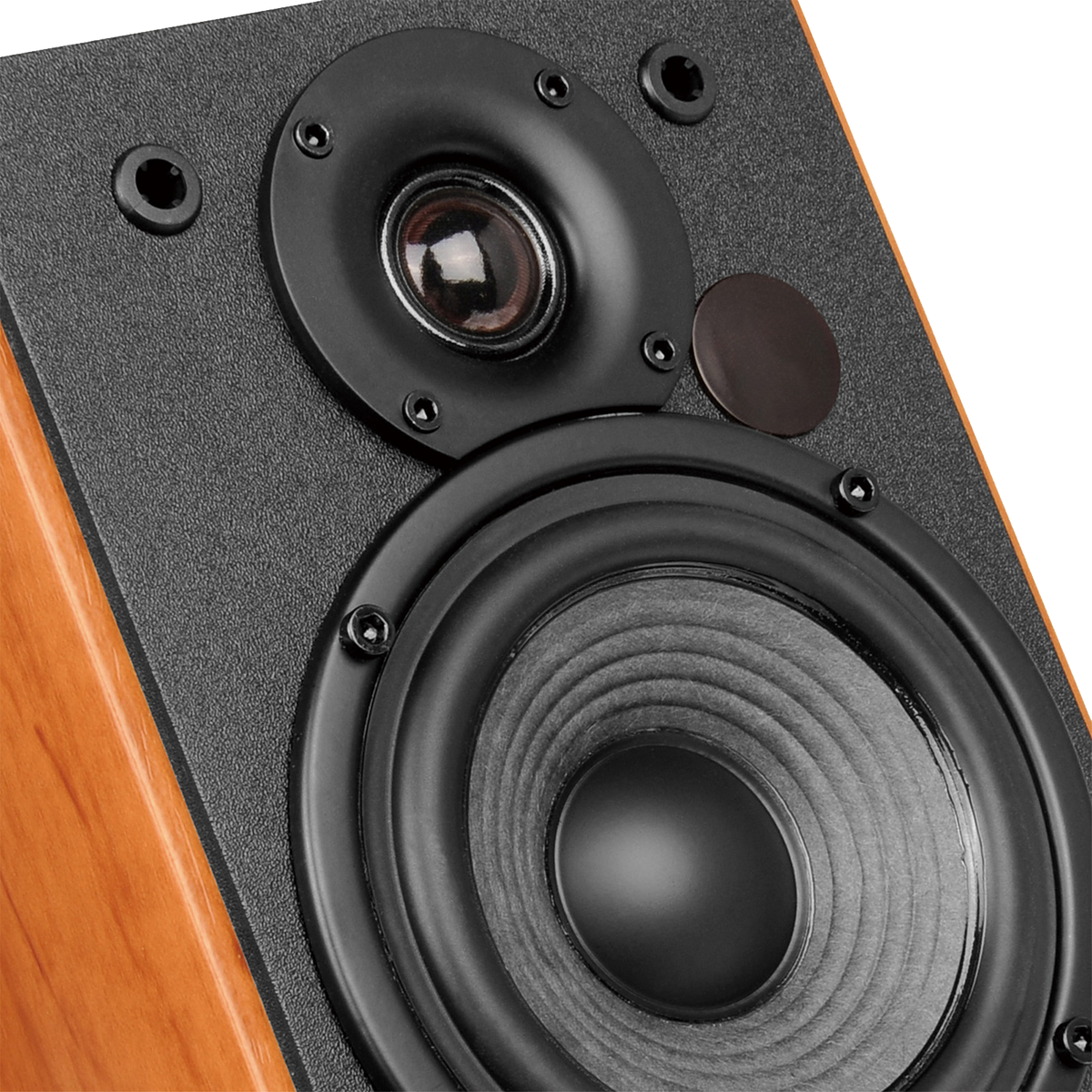 R1380T Stylish Bookshelf Speakers