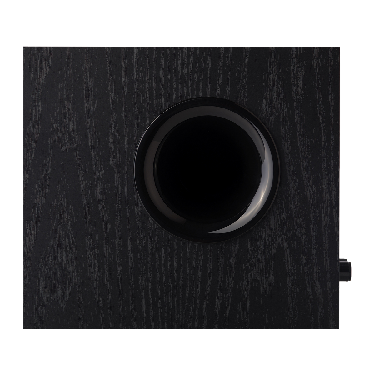 T5 Powered Subwoofer