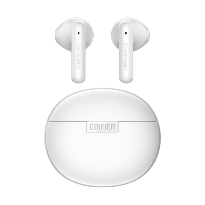 X2 True Wireless Earbuds